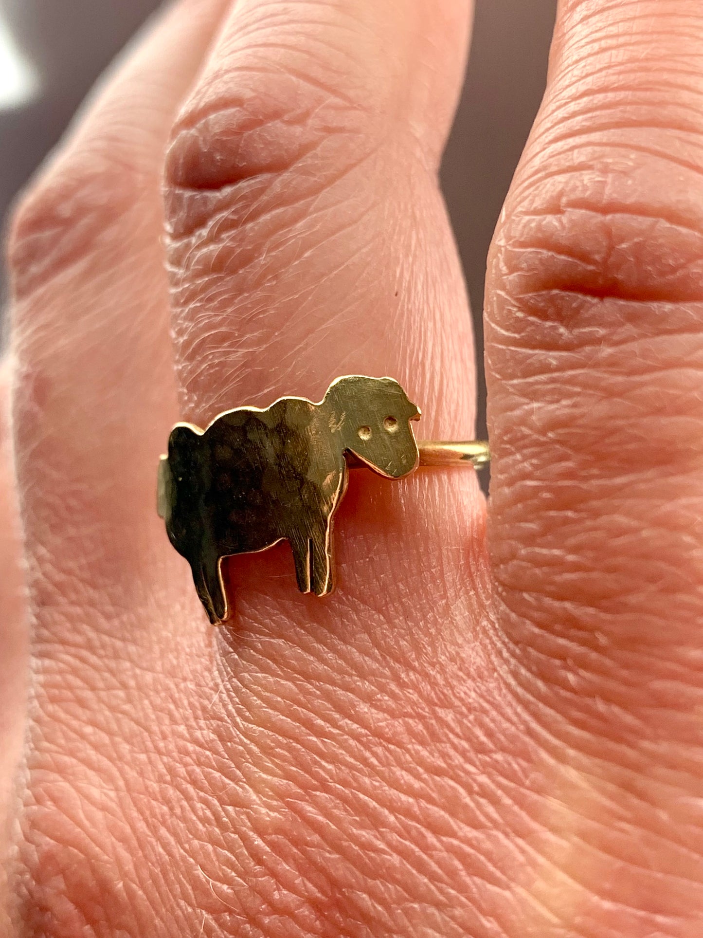 Anello Pecora