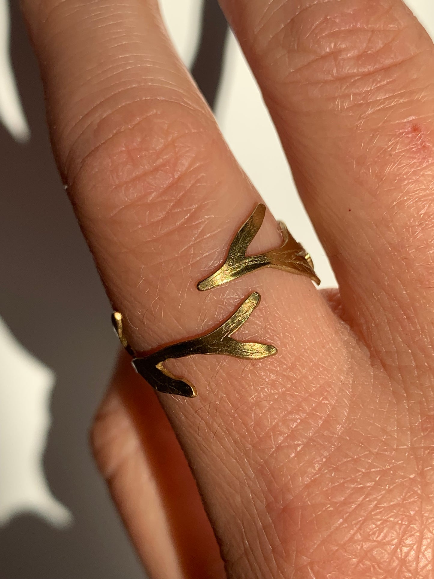 Anello Salice