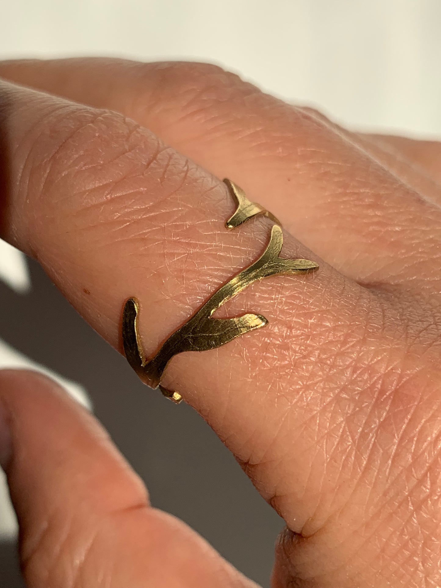 Anello Salice