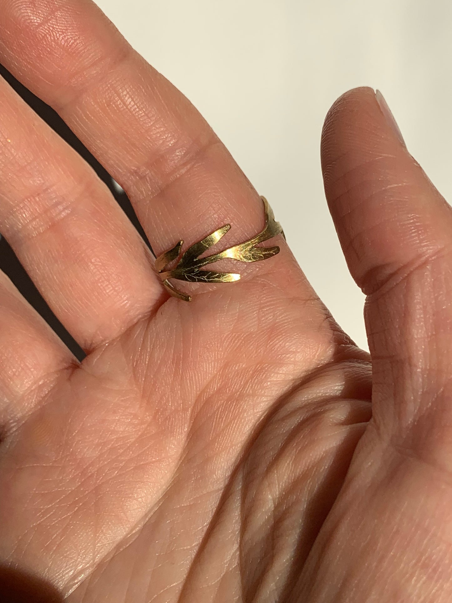 Anello Salice