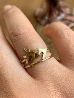 Anello Ulivo