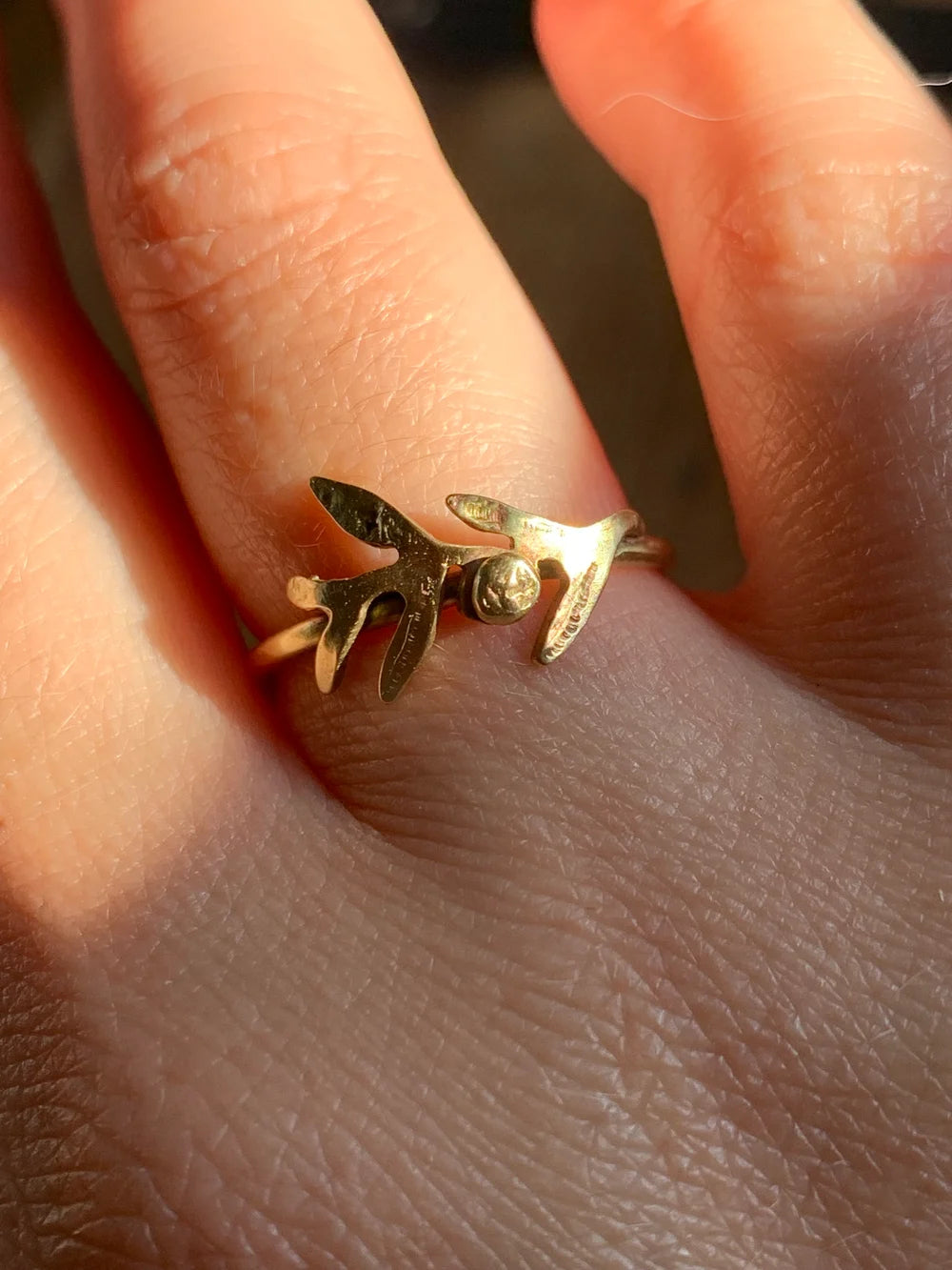 Anello Ulivo
