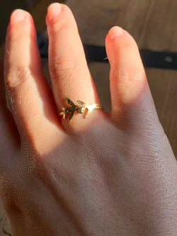 Anello Ulivo