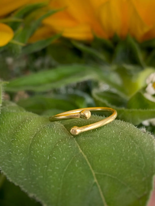 Anello Saturno