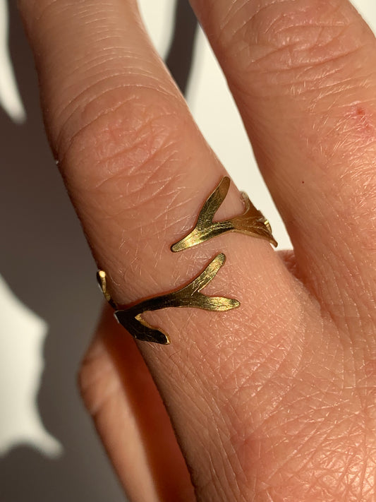 Anello Salice