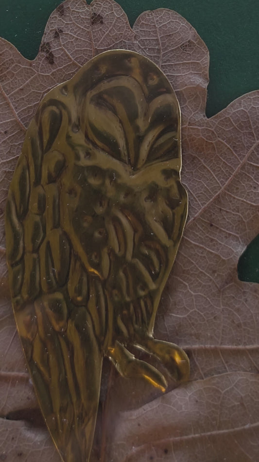 Quadretto della Foresta: Barbagianni e foglia di Quercia