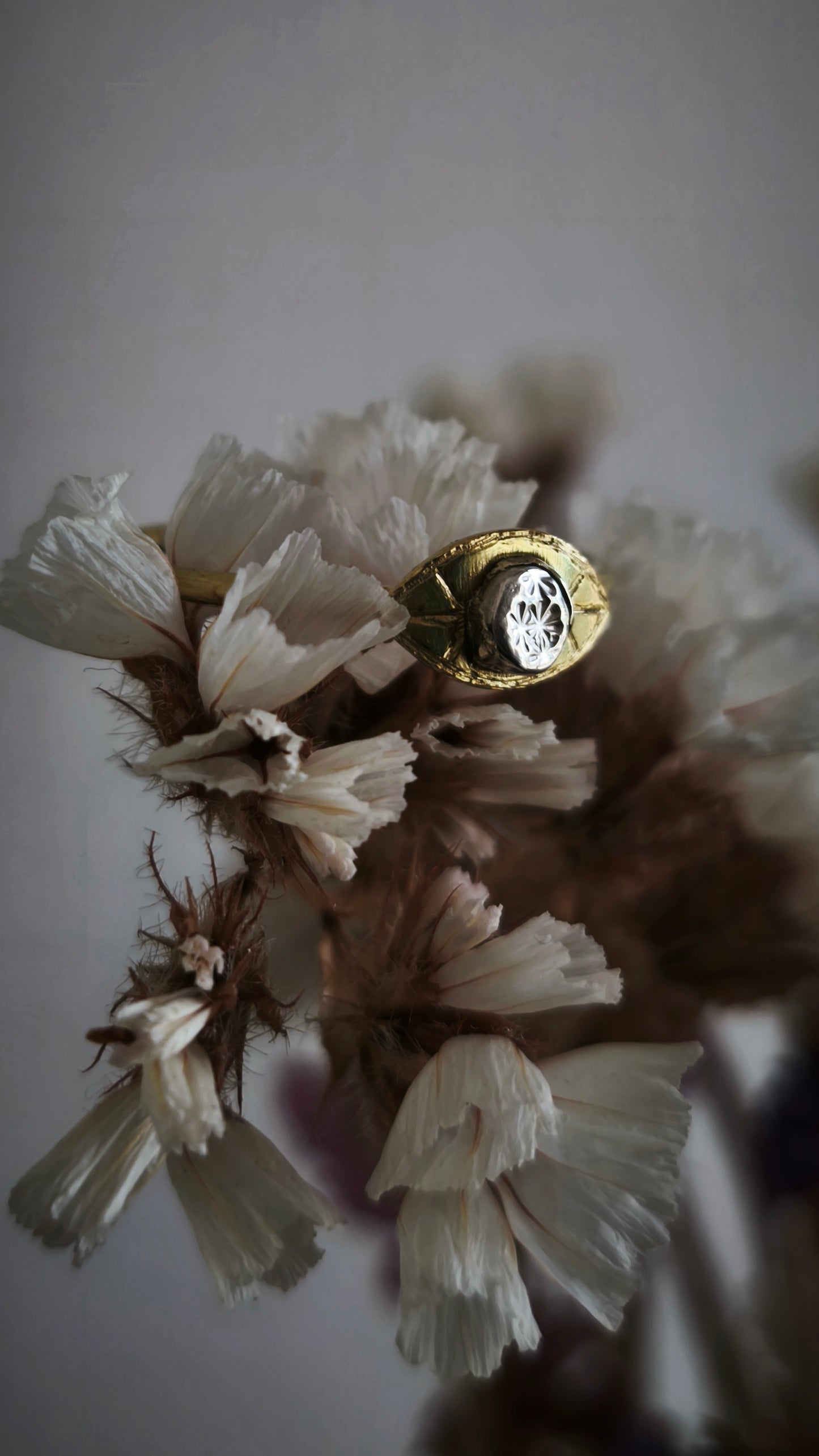 Anello amuleto: Occhio della veglia